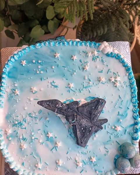 Sky-blue cake with a fighter-jet design
